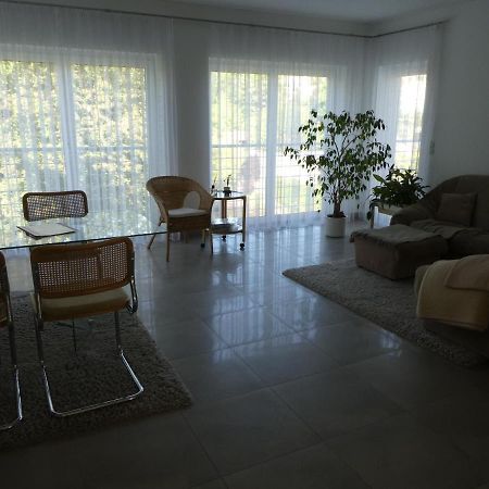 Grosszuegige,Zetrumsnahe Wohnung ドレスデン エクステリア 写真