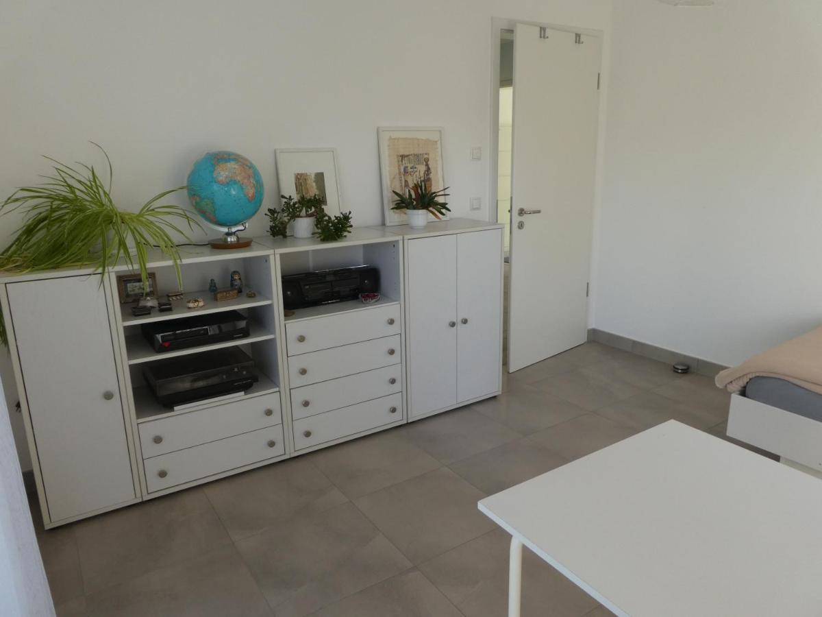 Grosszuegige,Zetrumsnahe Wohnung ドレスデン エクステリア 写真